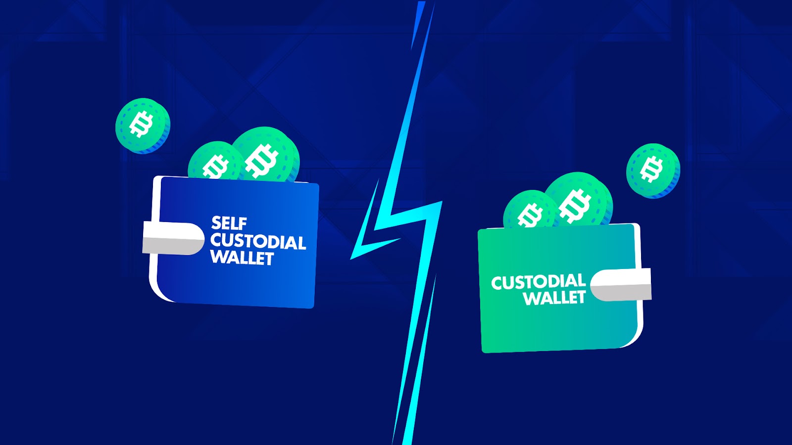 Self-Custody Crypto Wallets in