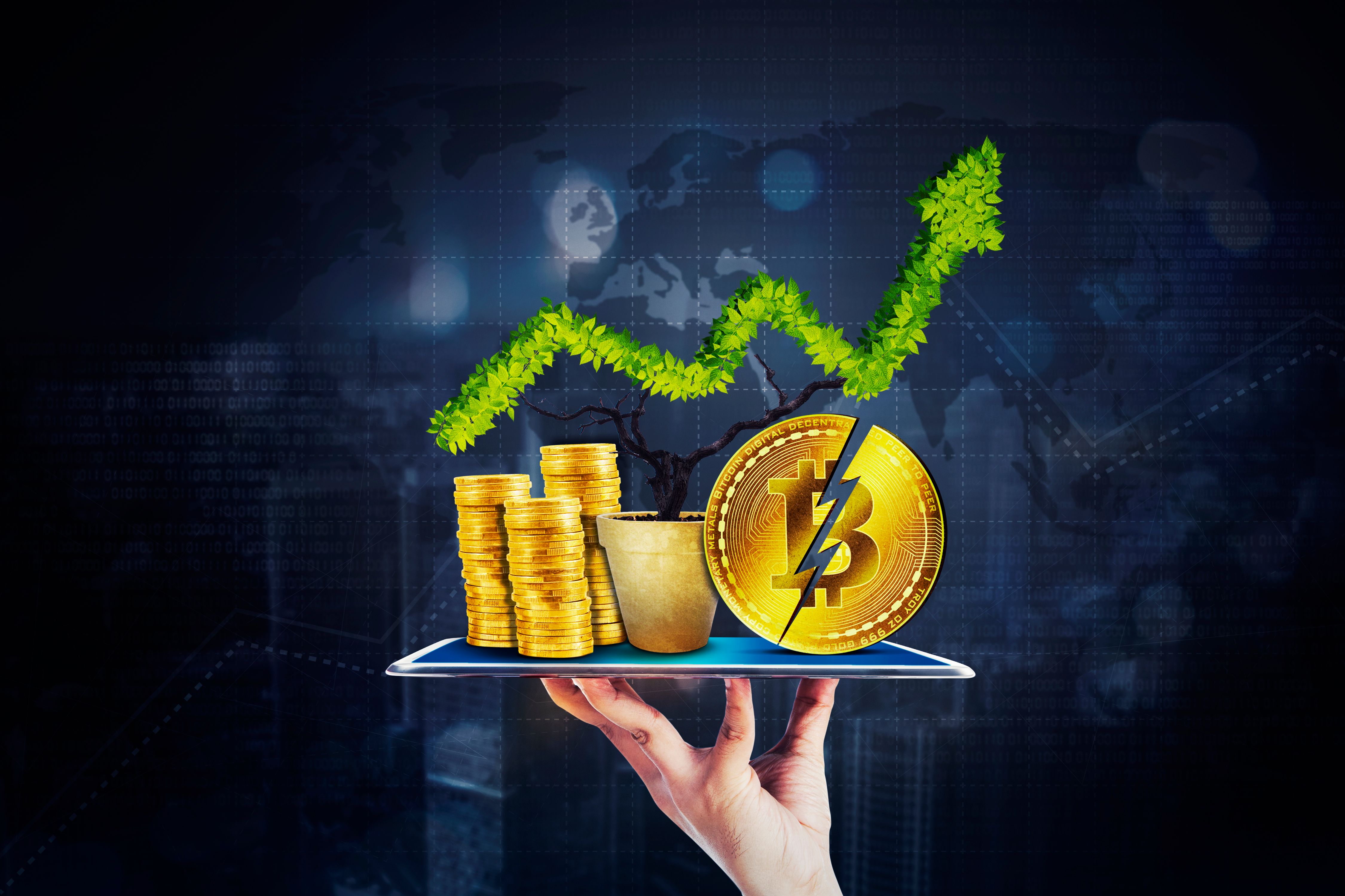 Binance Alpha Points 15-day rolling period chart